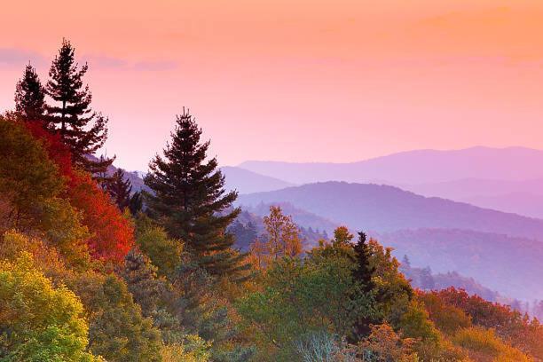 A Charming Cabin, Pool, Firepit, Hot Tub-Jacuzzi Gatlinburg Exteriér fotografie