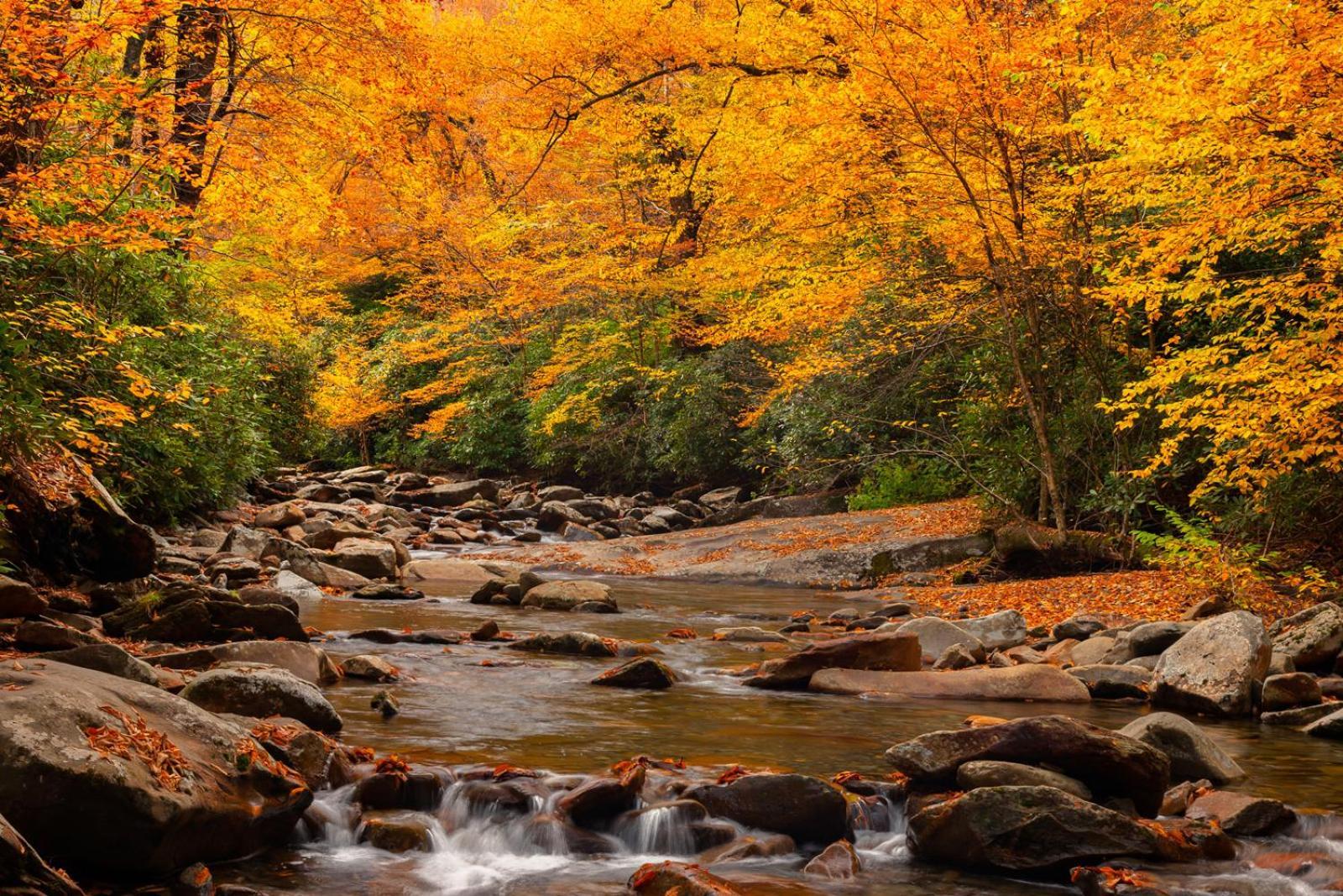 A Charming Cabin, Pool, Firepit, Hot Tub-Jacuzzi Gatlinburg Exteriér fotografie
