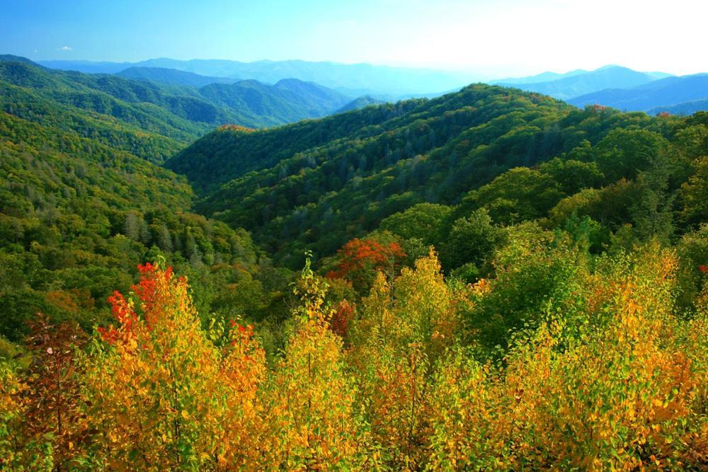 A Charming Cabin, Pool, Firepit, Hot Tub-Jacuzzi Gatlinburg Exteriér fotografie